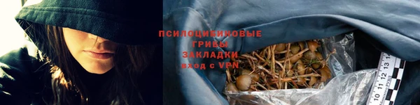 молекула духа Алзамай