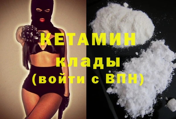 крисы Алексин