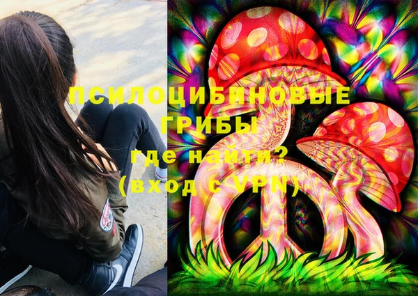 крисы Алексин