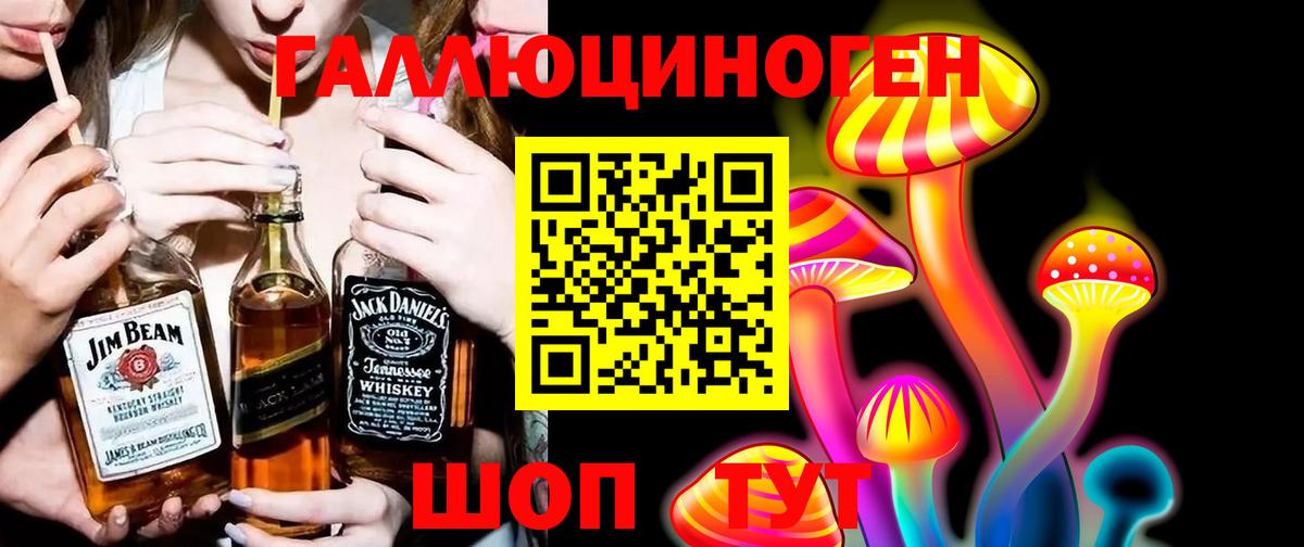 Галлюциногенные грибы Psilocybine cubensis  Вход с VPN  Арзамас 